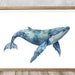 see more listings in the WATERCOLOR ocean animals section