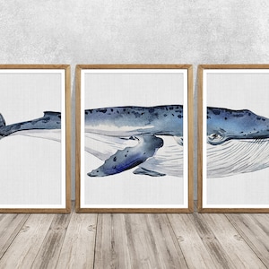 Blue whale Whale art print Whale print SET OF 3 Blue whale wall art Blue whale art Whale wall art Whale poster Watercolor whale