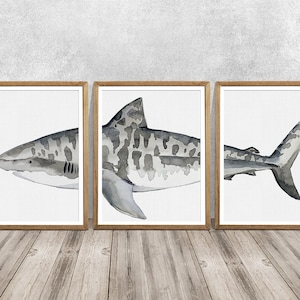 Tiger Shark Watercolor Art Print Set: Ocean Animal Bathroom Decor