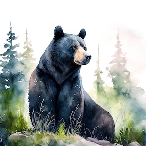 Black Bear Watercolor Print: Signed Woodland Animal Art