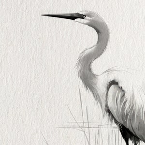 May include: Black and white watercolor painting of a great egret standing in tall grass. The bird is facing to the left and has its head turned to the right. The text "Archival quality print" is at the bottom of the image.