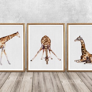 Giraffe Watercolor Art Print Set of 3, Nursery Decor
