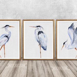 Blue heron wall art, Heron print set of 3, Set wall art, HERON, Blue heron art, great blue heron, Set print, Watercolor heron, Heron art