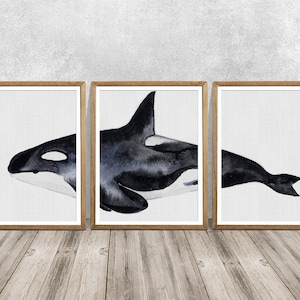 Killer whale SET Of 3 Whale art Whale art print Killer whale wall art Watercolor killer whale Orca art Orca painting Killer whale print