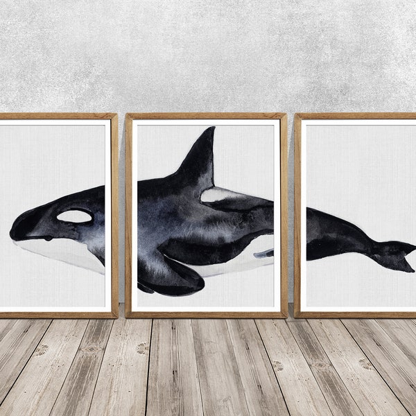 Épaulard SET Of 3 Whale art Whale art print Épaulard wall art Aquarelle épaulard Orca art Orca peinture Épaulard impression