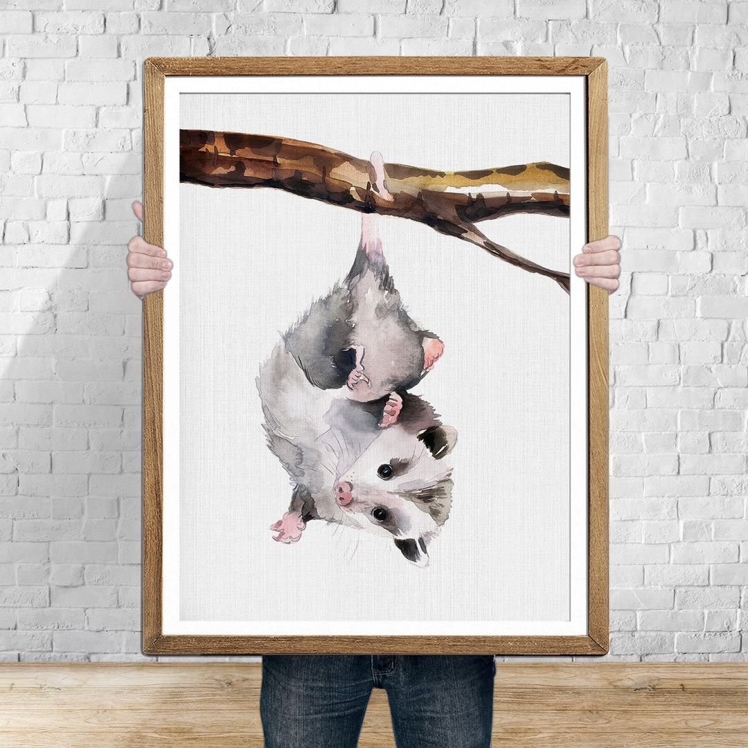 Possum Art POSSUM Watercolor Possum Animals Painting Possum Painting ...