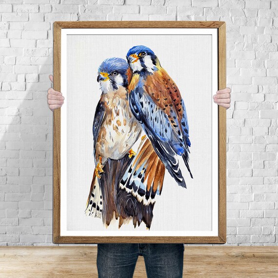 Amerikanische Kestrel Vogel Kunstdruck Kestrel Malerei Vogel Etsy