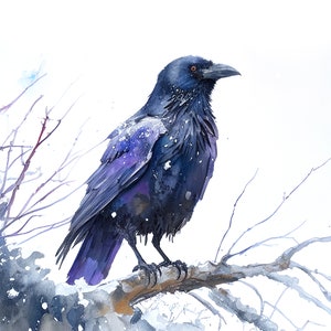 Raven Raven art print Black bird print Raven print Crow bird Crow painting Watercolor Crow image 1