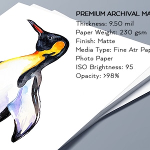 May include: A stack of premium archival matte paper with a watercolor painting of a penguin on top. The paper is 9.50 mil thick, weighs 230 gsm, has a matte finish, and is fine art paper. The ISO brightness is 95 and the opacity is greater than 98%.