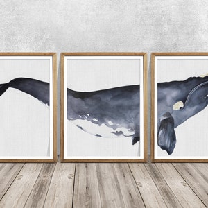 Ballena franca del norte, pintura de acuarela de ballena franca del norte, conjunto de 3, arte de pared para dormitorio, arte de pared para guardería, arte de pared para baño, ballena franca