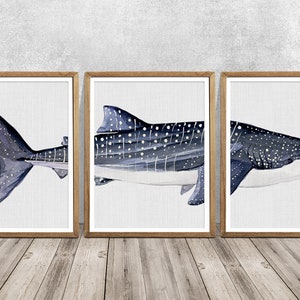 Spotted Shark Watercolor Print Triptych: Nursery Bathroom Wall Art