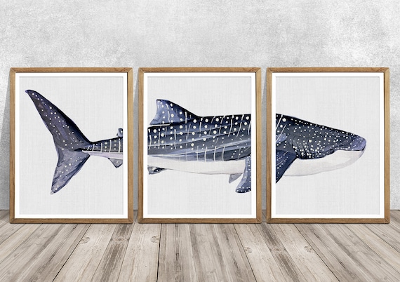 ジンベイザメの水彩画：海の子供部屋の壁アート - Etsy 日本