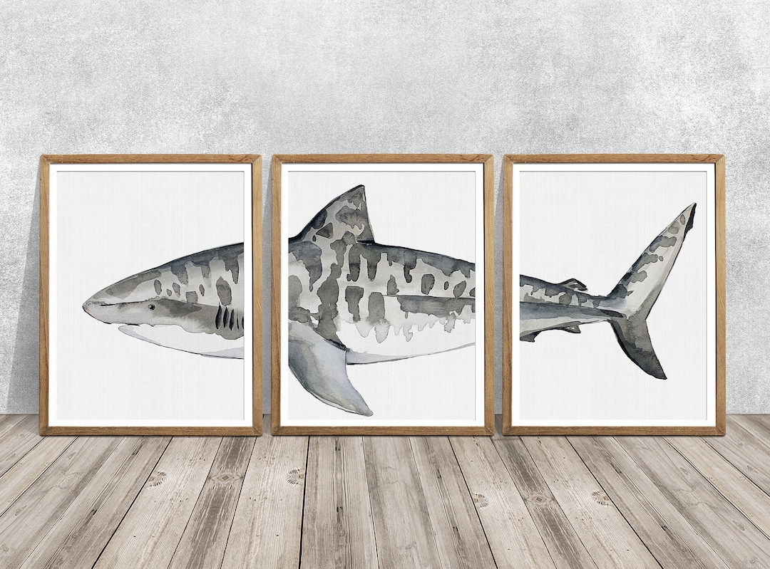 Tiger Shark Wall Art SET OF 3 Bathroom Wall Art Tiger Shark Art Shark