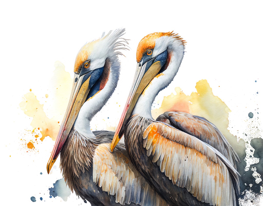 Pelican Lake Print Pelican Pelican Print Pelican Fine Art Etsy