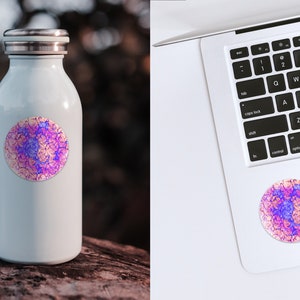 May include: A white stainless steel water bottle with a pink and blue circular sticker featuring a swirling abstract design.