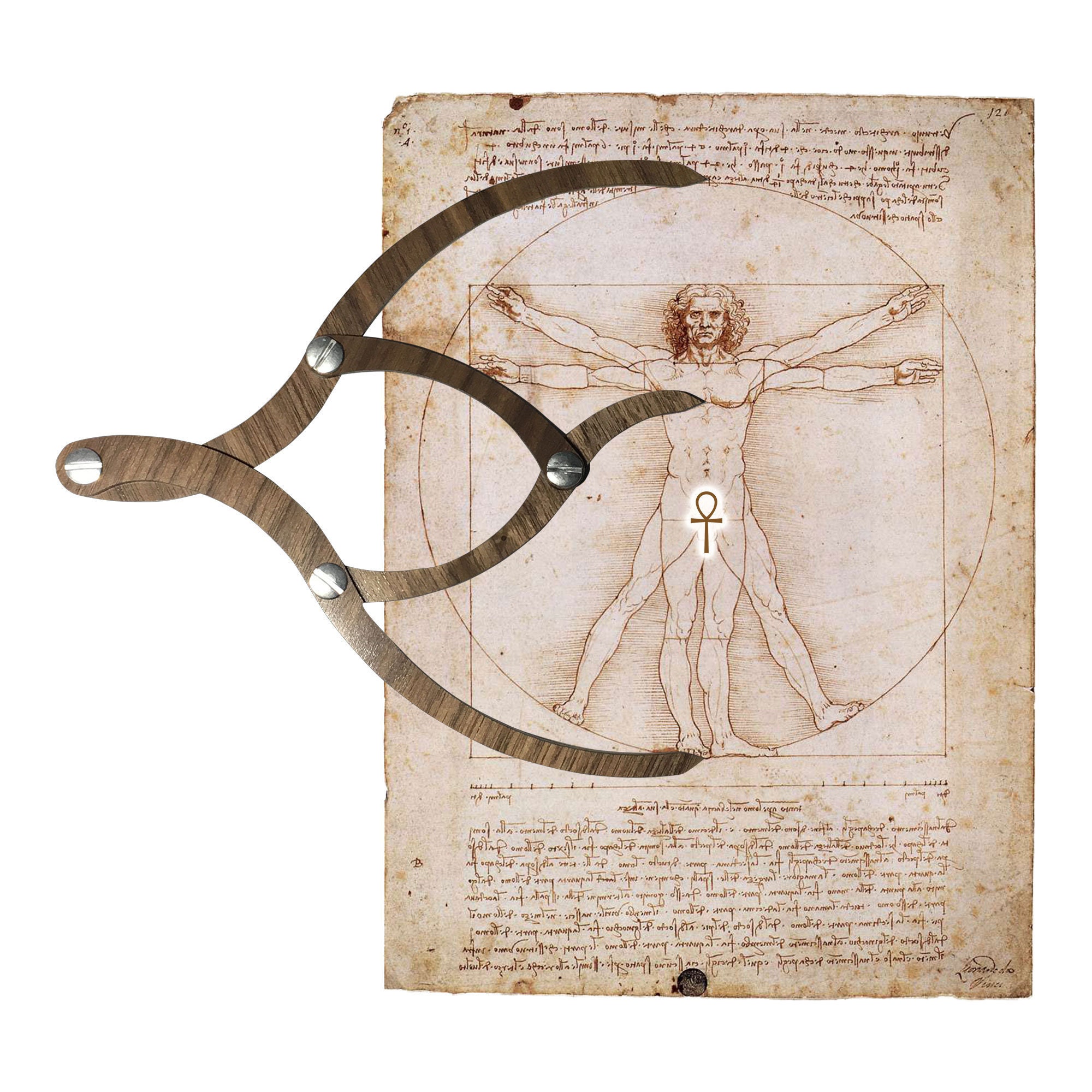 Proportioners Golden Ratio Calipers Etsy