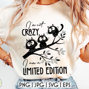 Chats drôles SVG | Fichier de coupe SVG sarcastique | Je ne suis pas fou, je suis une impression en édition limitée | Citations sarcastiques SVG | Téléchargement numérique
