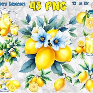 Pakiet clipartów cytrynowych | Cytryny akwarelowe PNG | Lemoniada PNG | Clipart z wieńcem cytrynowym | Ramka kwiatowa PNG | Śródziemnomorskie cytryny i kwiaty