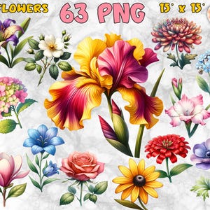 Floral Clipart: 63 Garden Flower PNG Illustrations (Digital Download)