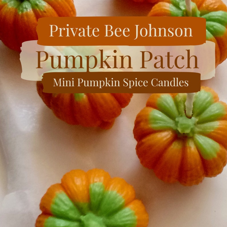 Mini Pumpkin Spice Candles 3pcs. 100 White Beeswax Etsy
