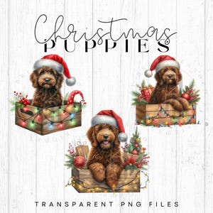 Op de afbeelding: Drie bruine en witte puppy's met kerstmanmutsen zitten in houten kisten met kerstverlichting en groen. De kisten zijn versierd met rode en groene ornamenten. De tekst "Christmas Puppies" staat boven de afbeelding.