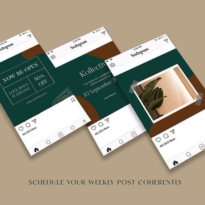 May include: Three Instagram post mockups with a green and brown color scheme. The first post advertises a re-opening with a 50% off flash sale. The second post announces a new collection launching on September 10th. The third post features a photo of a leafy plant.