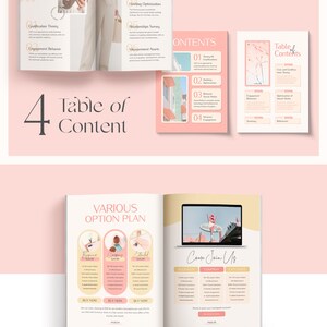 May include: A pink and yellow brochure with the title "Table of Content" and a section titled "Various Option Plan" with three pricing options: "Business", "Company", and "Established".