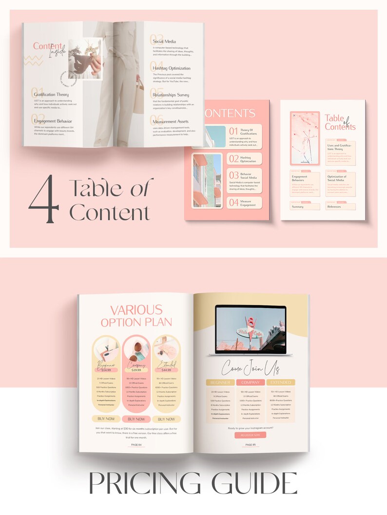 May include: A pink and yellow brochure with the title "Table of Content" and a section titled "Various Option Plan" with three pricing options: "Business", "Company", and "Established".