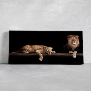 Lion and Lioness Canvas Wall Art Large Dramatic Wildlife Panthera Couple Painting Black Background Multi Panel Artwork Safari Bedroom Decor
