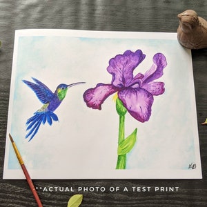 Hummingbird Iris Watercolor Art Print: Whimsical Birdwatcher Gift