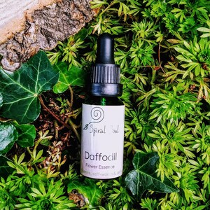 Confidence- Daffodil Flower Essence