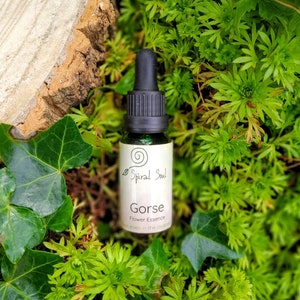Könnte beinhalten: Eine kleine, durchsichtige Glasflasche mit einem schwarzen Tropfer. Die Flasche ist mit "Spiral Soul Gorse Flower Essence" beschriftet und steht auf einem Bett aus grünem Moos.