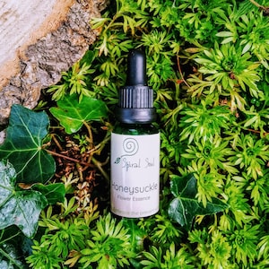 Release the past- Honeysuckle Flower Essence