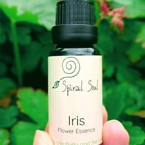 Creativity- Iris flower essence