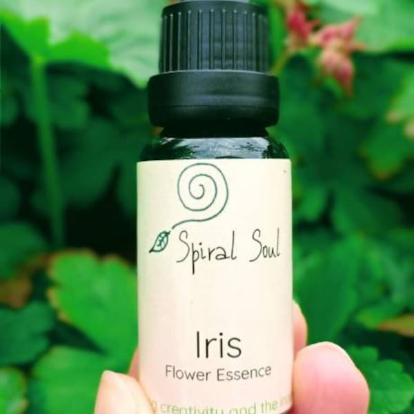 Creativity- Iris flower essence