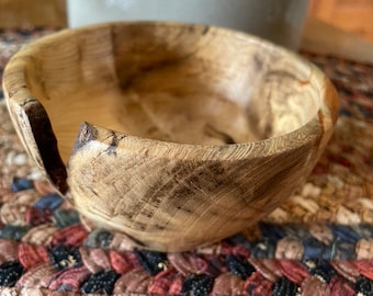 Fallen Tree Spalted Hackberry Small Bowl with Cut Out Features