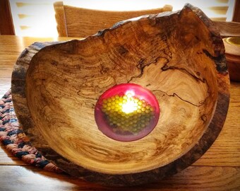 Fallen Tree Wasp Hive and Hackberry Natural Edge Spalted Bowl with Resin Bottom