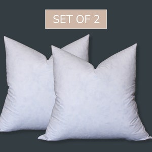 May include: Set of two white down filled pillow inserts.  The pillows are plump and fluffy.  "SET OF 2" is written on a light brown rectangle.