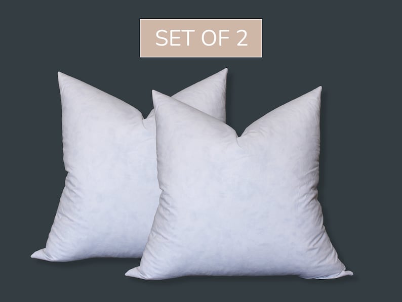 May include: Set of two white down filled pillow inserts.  The pillows are plump and fluffy.  "SET OF 2" is written on a light brown rectangle.