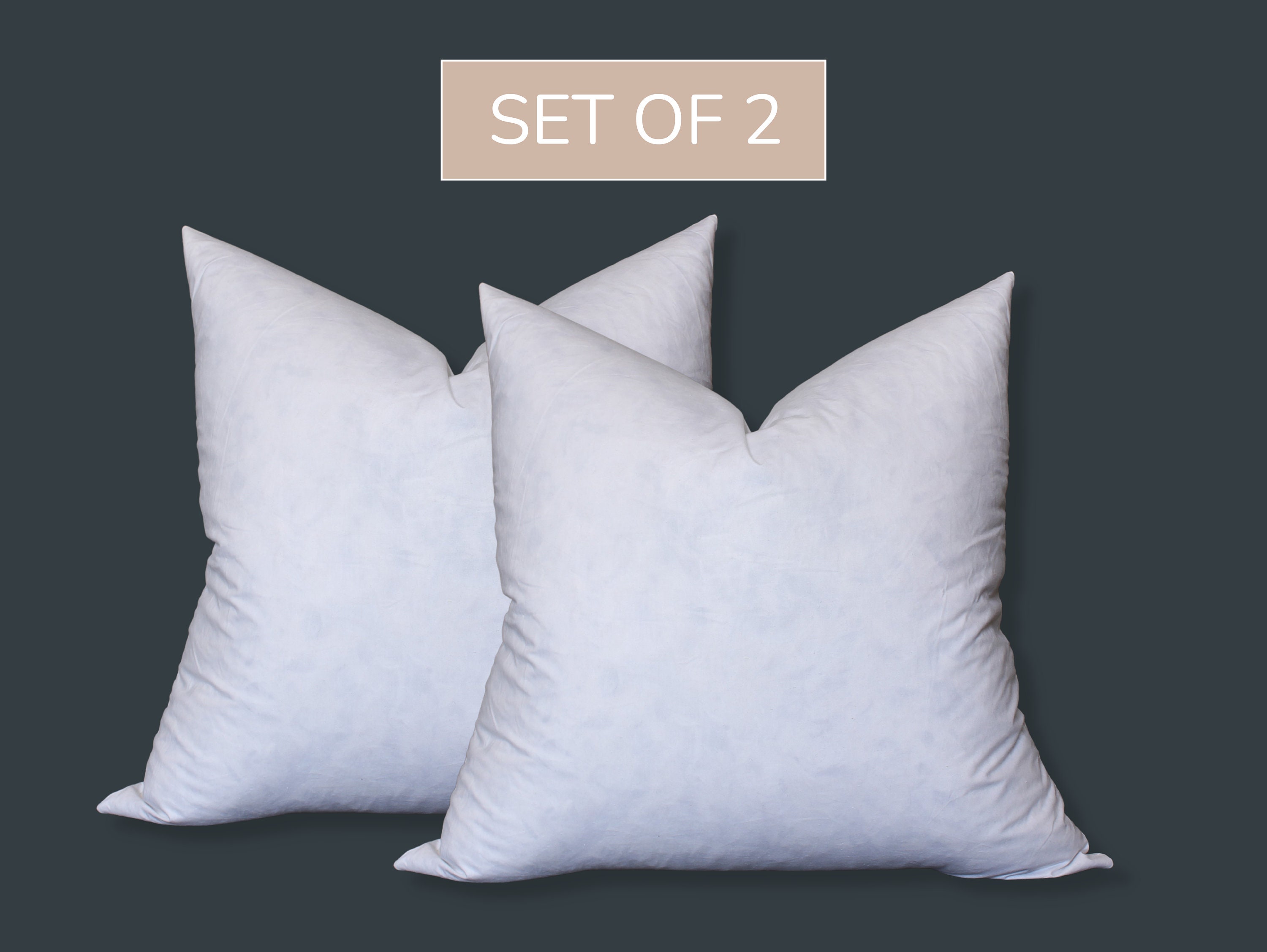 16x16 Goose Down Feather Throw Pillow Inserts 2 Pack Premium Soft Cotton  Euro Sq