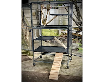 Ferret Nation RAMPS