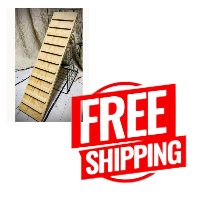 There is a ramp o the upper right-hand corner. It is an outdoor ramp, ad it is hooked to a wire cage with attached hooks. The image in the lower right-hand corner reads "Free Shipping."