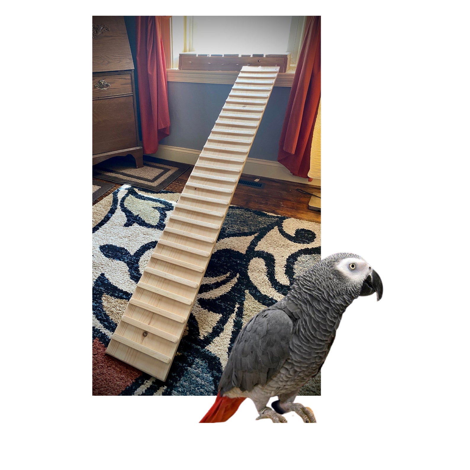 Pine Ramp Indoor Bird Ramp With Sides: Kiln Dried Pine, Treaded - Etsy