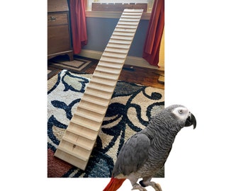 Bird Ramp with SIDES Option 5.5-11.25 Inches wide 10-70 Long 14lb Indoor Domestic Bird Ramp Cockatiel Ramp, Budgerigar Ramp Domestic 24_1