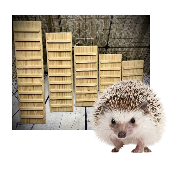Hedgehog Ramp With SIDES Option 5.5 and 7.5 Inches Wide 1070 Etsy
