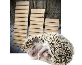 Hedgehog Ramp with Sides: Indoor Pine Wood Ramp (5.5-11.25 Inches Wide)