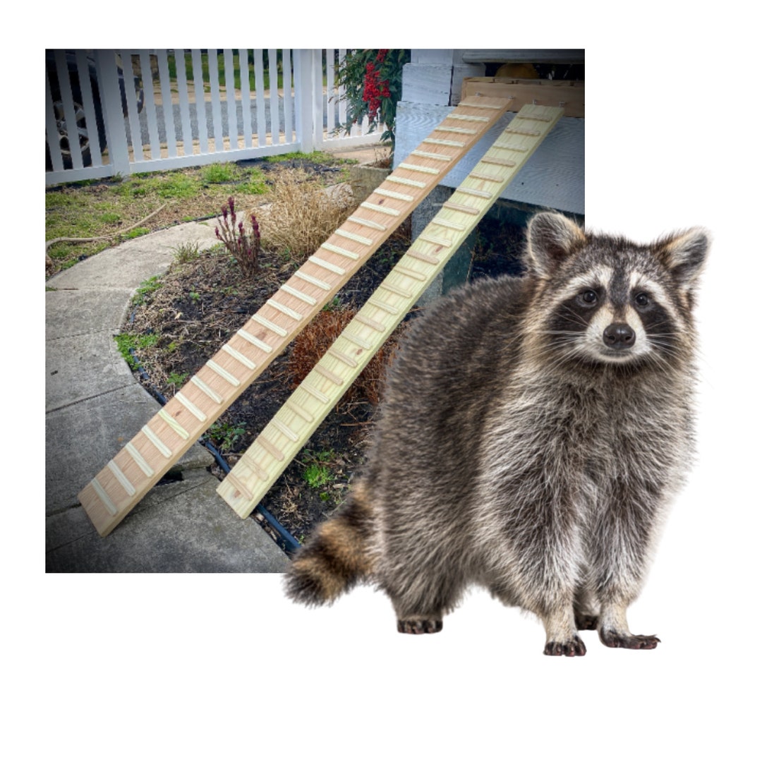 Critter Ramp Outdoor Critter Ramp With Sides: Pressure-treated Pine, 10-70
