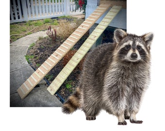 Outdoor Critter Ramp with Sides: Pressure-Treated Pine, 10-70" Long