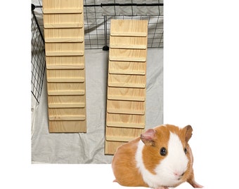 Guinea Pig Ramp with Sides: Indoor Pine Wood Ladder