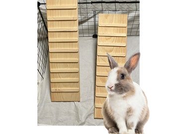 Handcrafted Rabbit Ramp with Sides: Kiln Dried Pine, Treaded